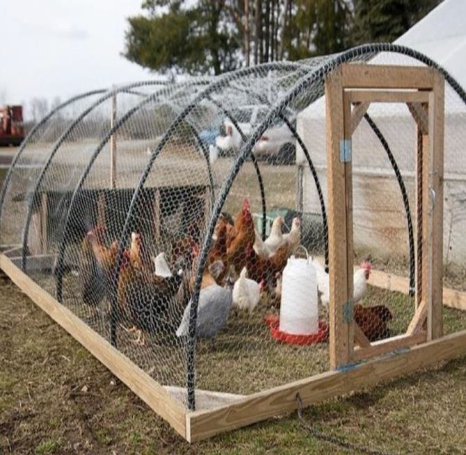 Poultry farming